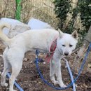 문경가축병원 이미지