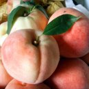 방개농장 이미지