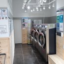 완도1호 이미지