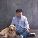 도그워시 이미지