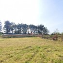 제주탄탄공인중개사사무소 이미지