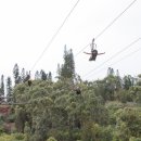 고래문화가 있는날 이미지
