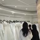 수지앤아티크 | Wedding 04. 시크릿드레스샵 엔조 최재훈, 시작바이 이명순 / 포토드레스 초이스 후기