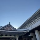 종로-종로-종로-종-364 | [종로] 청와대 관람후기 (가는 방법, 신청관람시간보다 늦었을 때, 근처 맛집 추천)