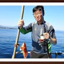 동해세꼬시 이미지