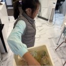 강덕초등학교 이미지