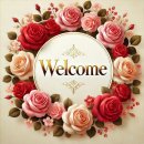 카카오톡 업데이트 취소, 구버전 다운로드 설치 [2] 이미지