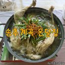 청송능이한방백숙 | 송추계곡 백숙 맛집 온달집 계곡 옆 평상 및 주차 후기
