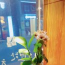 중앙파출 이미지