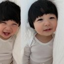 사야 스타뉴스