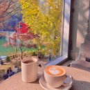 송곡지 | 단풍에 물든 공주 카페 엔학고레 지금 아니면 못 보는 뷰맛집