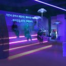 메타케이브 이미지