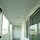 살구골서광·성지·동아·진덕 이미지