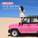 댄디농장 | 나트랑 판랑 사막 투어 가격 단독투어 추천