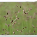 하늘지기 이미지