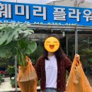 행운훼미리플라워