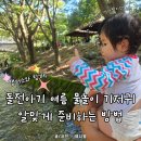 수호천사펜션 | 돌아기 여름 물놀이 기저귀 준비 방법 및 엔젤브리즈 썸머팬티 사용 후기