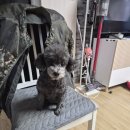 포유 행정사 사무소 이미지