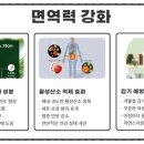 솔잎약국 이미지