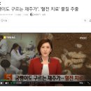 태양굼벵이 이미지
