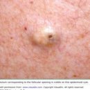 강동중앙내과외과의원 이미지