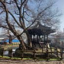 임피초등학교 | (군산여행) 조선 후기 행정관청 임피 노성당과 연지☞ 군산을 알려면 임피 여행을 먼저 다녀가세요