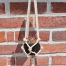 협동조합 아우내공동체 이미지