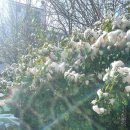 밍글몽글 이미지