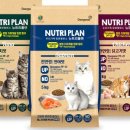 도그플랜 이미지