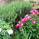 성주관광주유소 이미지