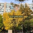 압구정-113 이미지