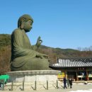 대불행정사 네이버블로그