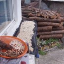 산골의하루 이미지