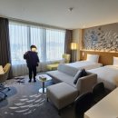 임피리얼팰리스 부티크호텔(Imperial Palace Boutique Hotel) | [아코르]국내 아코르 계열 호텔 12개소 플래티넘 티어 아재관점 내돈내산 리뷰 정리 업데이트!