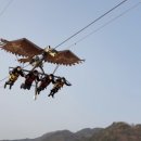 무릉별유천지전망카페 이미지