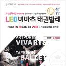 LED비바츠 태권발레 이미지