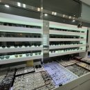 라운드안경(렌즈아이) | 김포 라운드안경 | 제이스 정밀검안 + 수입·국산 렌즈 비교까지 믿고 맞춘 안경 후기