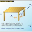 물고기의 目 - 시각 그리고 자외선 이미지