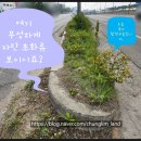 청림조경공사 이미지