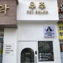 우주펫살롱 이미지
