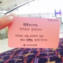 슈키 이미지
