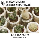 [글로벌2] 컬러심리 향기 테라피(6주/B) | 미니가든 메이킹, 나만의 반려식물을 심어보는 이색 프로그램