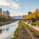 부산역 외곽 3 | 🚖 부산역에서 출발 청주 장거리 시외택시 KTX 없는 청주, 정시 도착이 필요한 날엔 콜택시가 답입니다