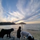 햇귀풍경 이미지