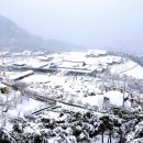 산청 - 순천시 율촌로 159 | 산청
