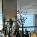 [시민제안강의] 다(茶)함께 차차차, 차와 함께 놀아요 | 국제티소믈리에협회 티 마스터 수업 후기/ 스리랑카 홍차/ 부산 티카페 투어/ 부산 조선호텔 애프터눈...