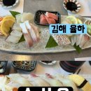 줄을 스시유 | 김해 장유 율하 카페거리 스시 맛집 스시유