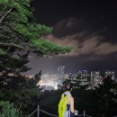 팔용산 체육공원 | 창원 팔용산 등산 (돌탑공원 출발) 마산 야경 한눈에