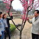 안동민속촌 이미지