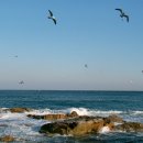 바닷가에서 이미지